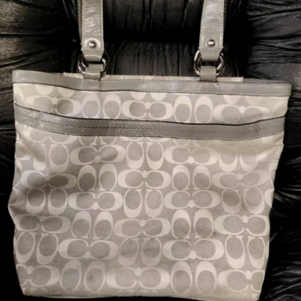 Gray Coach Shoulder Bag